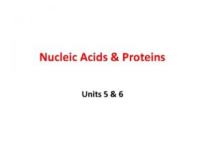 Nucleic Acids Proteins Units 5 6 Nucleic Acids