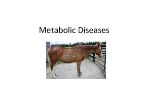 Metabolic Diseases Metabolic Diseases All the organs in