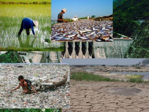 SEDIMENT AND RIVER MORPHOLOGY FISHERIES Dams limit the