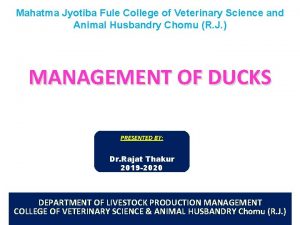 Mahatma Jyotiba Fule College of Veterinary Science and