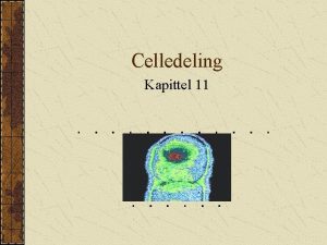 Celledeling Kapittel 11 Oversikt Celledeling hos prokaryoter Kromosomstruktur
