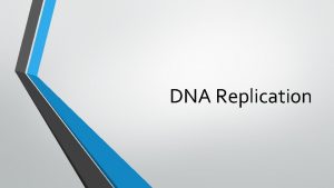 DNA Replication Cell Division occurs after DNA has