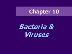 Chapter 10 Bacteria Viruses Chapter 10 A Bacteria