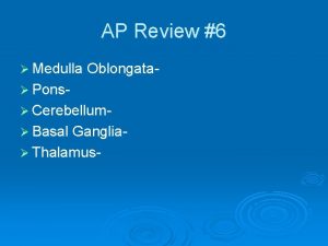 AP Review 6 Medulla Oblongata Pons Cerebellum Basal