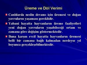 reme ve Dl Verimi Canllarda neslin devam iin