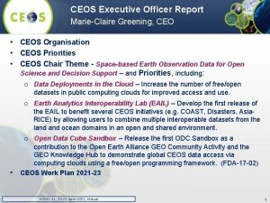 CEOS Executive Officer Report MarieClaire Greening CEO CEOS