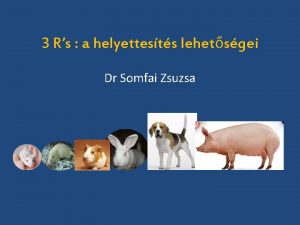 3 Rs a helyettests lehetsgei Dr Somfai Zsuzsa