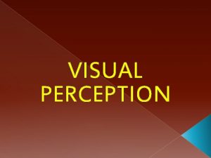 VISUAL PERCEPTION DEFINITION Perception is the way in