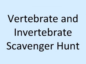 Vertebrate and Invertebrate Scavenger Hunt You will be