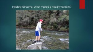 Healthy Streams What makes a healthy stream Scientists