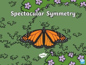 Aim I can recognise line symmetry in 2