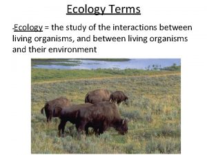 Ecology Terms Ecology the study of the interactions