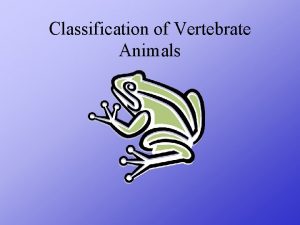 Classification of Vertebrate Animals Animals With Backbones AMPHIBIAN