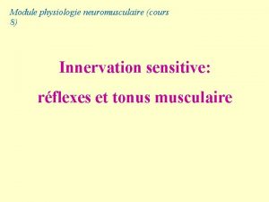 Module physiologie neuromusculaire cours 8 Innervation sensitive rflexes