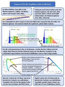 Warum LEDs fr Reptilien nicht wei sind Im