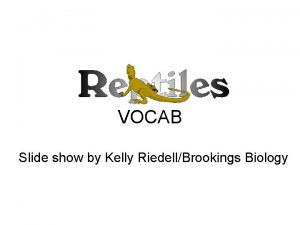 VOCAB Slide show by Kelly RiedellBrookings Biology Kidspiration