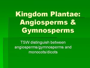 Kingdom Plantae Angiosperms Gymnosperms TSW distinguish between angiospermsgymnosperms