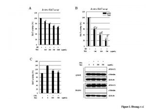 A B In vitro HAT assay 120 HAT