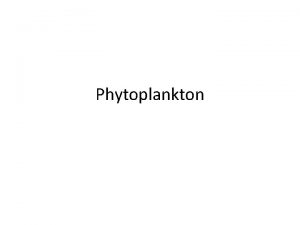 Phytoplankton The phytoplankton principal source of primary nutrition