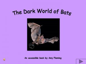 An accessible book by Amy Fleming Bats are