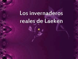 Los invernaderos reales de Laeken El palacio real