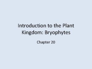 Introduction to the Plant Kingdom Bryophytes Chapter 20