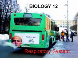 BIOLOGY 12 Respiratory System Anatomy The Respiratory System