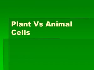 Plant Vs Animal Cells The Cell Living Smallest