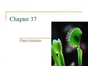 Chapter 37 Plant Nutrition Nutrient Reservoirs q q