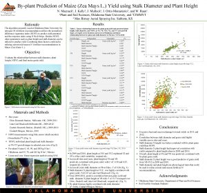 Byplant Prediction of Maize Zea Mays L Yield