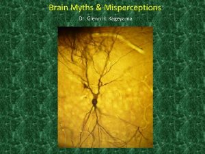 Brain Myths Misperceptions Dr Glenn H Kageyama Fact