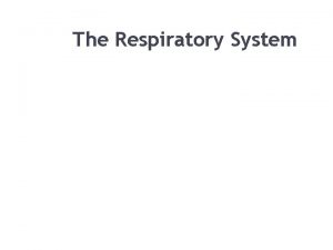 The Respiratory System Organs of the Respiratory system