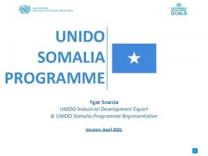 UNIDO SOMALIA PROGRAMME Ygor Scarcia UNIDO Industrial Development