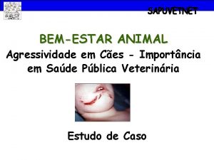 BEMESTAR ANIMAL Agressividade em Ces Importncia em Sade