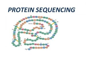 PROTEIN SEQUENCING PRESENTATION OUTLINE INTRODUCTION PROTEIN SEQUENCING WHY