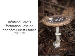 Runion FAMO formation Base de donnes Ouest France