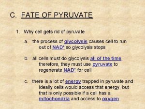 C FATE OF PYRUVATE 1 Why cell gets