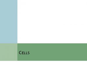 C ELLS H UMAN C ELLS E UKARYOTIC