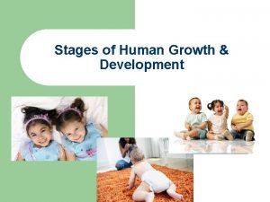 Stages of Human Growth Development Zygote l l