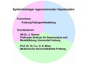 Systembiologie regenerierender Hepatozyten Konsortium FreiburgTbingenHeidelberg Koordinatoren HD Dr
