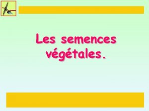 Les semences vgtales Semences et varits Semences supports