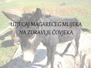 UTJECAJ MAGAREEG MLIJEKA NA ZDRAVLJE OVJEKA SADRAJ 1