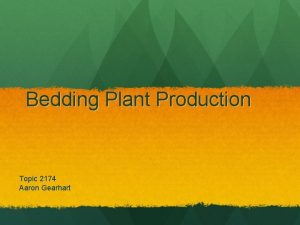 Bedding Plant Production Topic 2174 Aaron Gearhart What