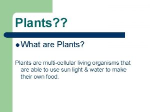 Plants l What are Plants Plants are multicellular