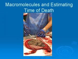 Macromolecules and Estimating Time of Death Macromolecules Large
