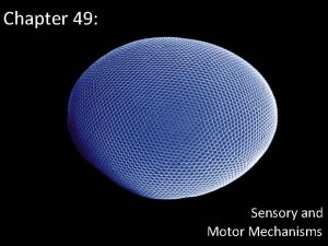 Chapter 49 Sensory and Motor Mechanisms Receptors Differing