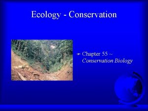 Ecology Conservation F Chapter 55 Conservation Biology Gemsbok