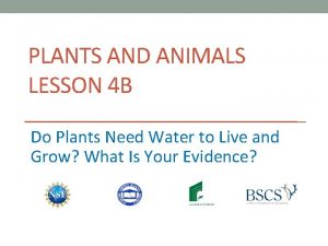 PLANTS AND ANIMALS LESSON 4 B Do Plants