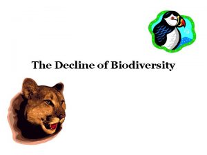 The Decline of Biodiversity US Species Animal Extinctions