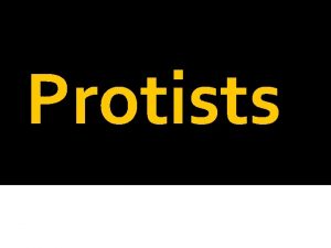 Protists Ryan Polli What is a protist An